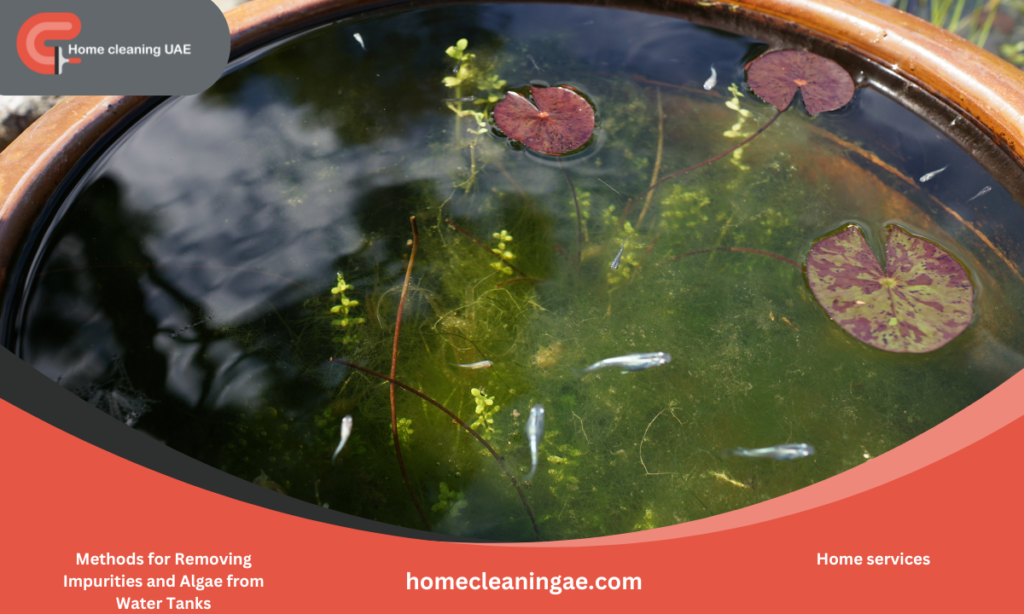 Ways to Remove Impurities and Algae from Water Tanks