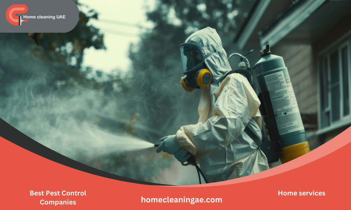 Best Pest Control Companies