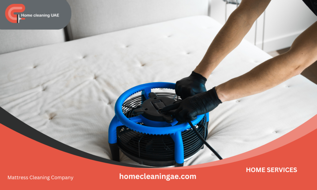 Mattress Cleaning Company